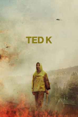 Tedas K Online